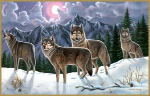 wolves